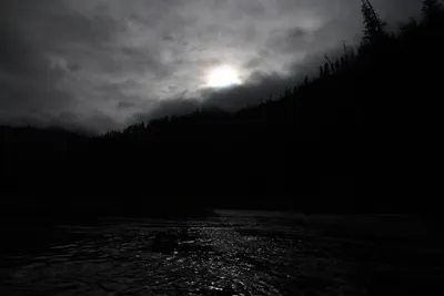 DSC_0185 (Large).JPG